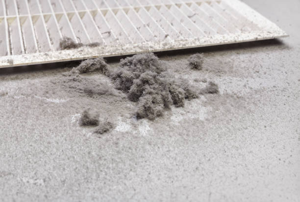 Best Affordable Duct Cleaning Services  in Andrews, IN