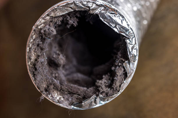 Best Ventilation Cleaning Services  in Andrews, IN
